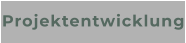 Projektentwicklung